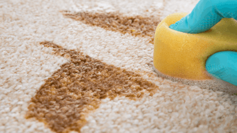 Carpet & Upholstery Cleaning