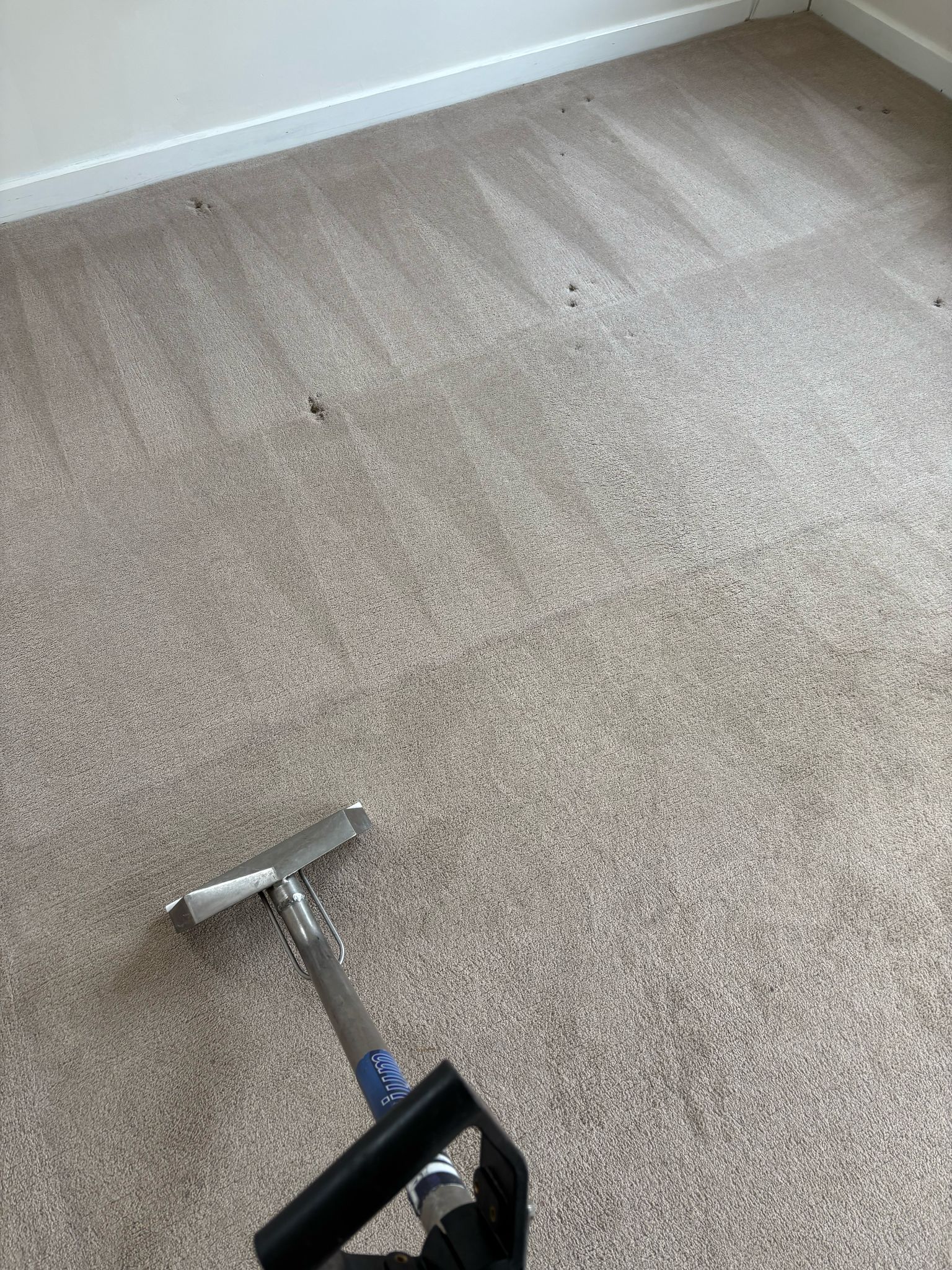 carpet cleaning bristol 15