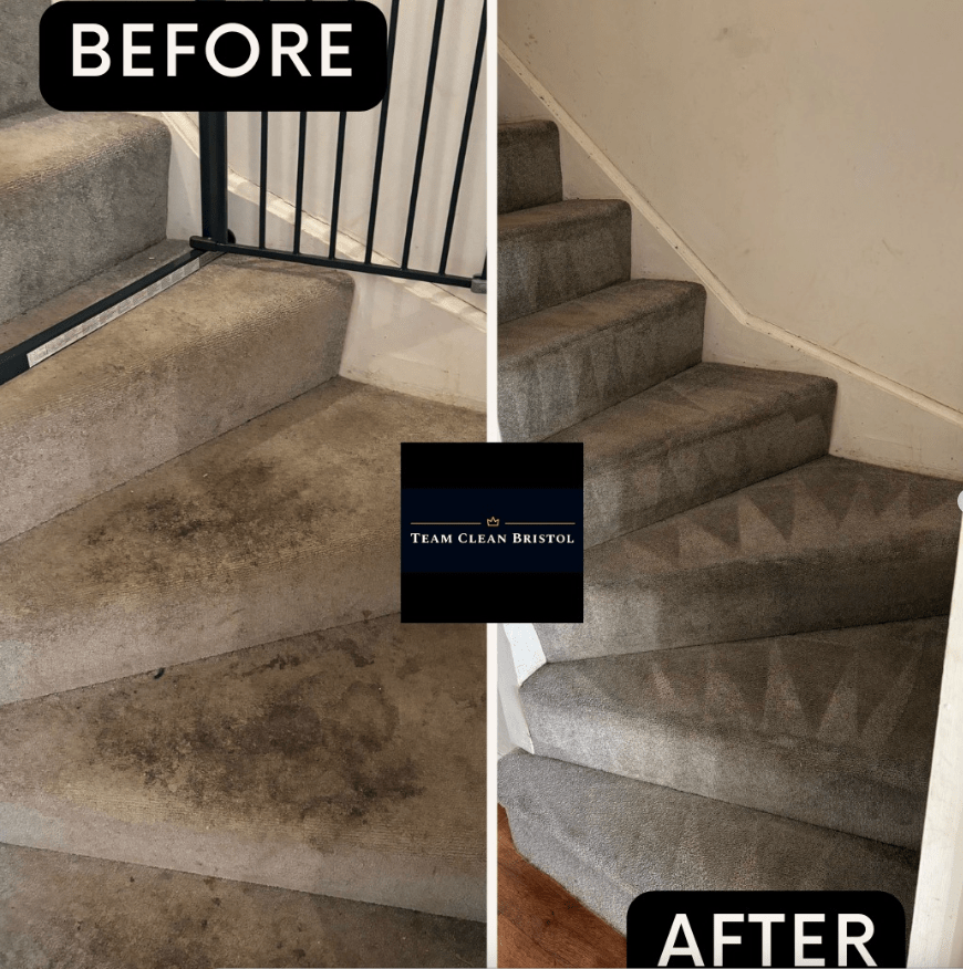 carpet cleaning bristol 5